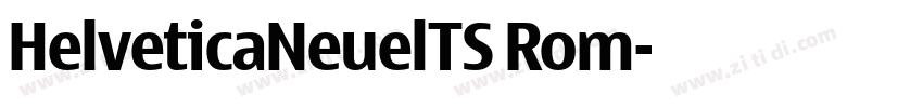 HelveticaNeuelTS Rom字体转换